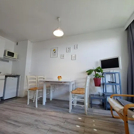 Apartment Cosy Avec Terrasse Sud, Bien Equipe A Pra Loup 1600 - Fr-1-165a-30